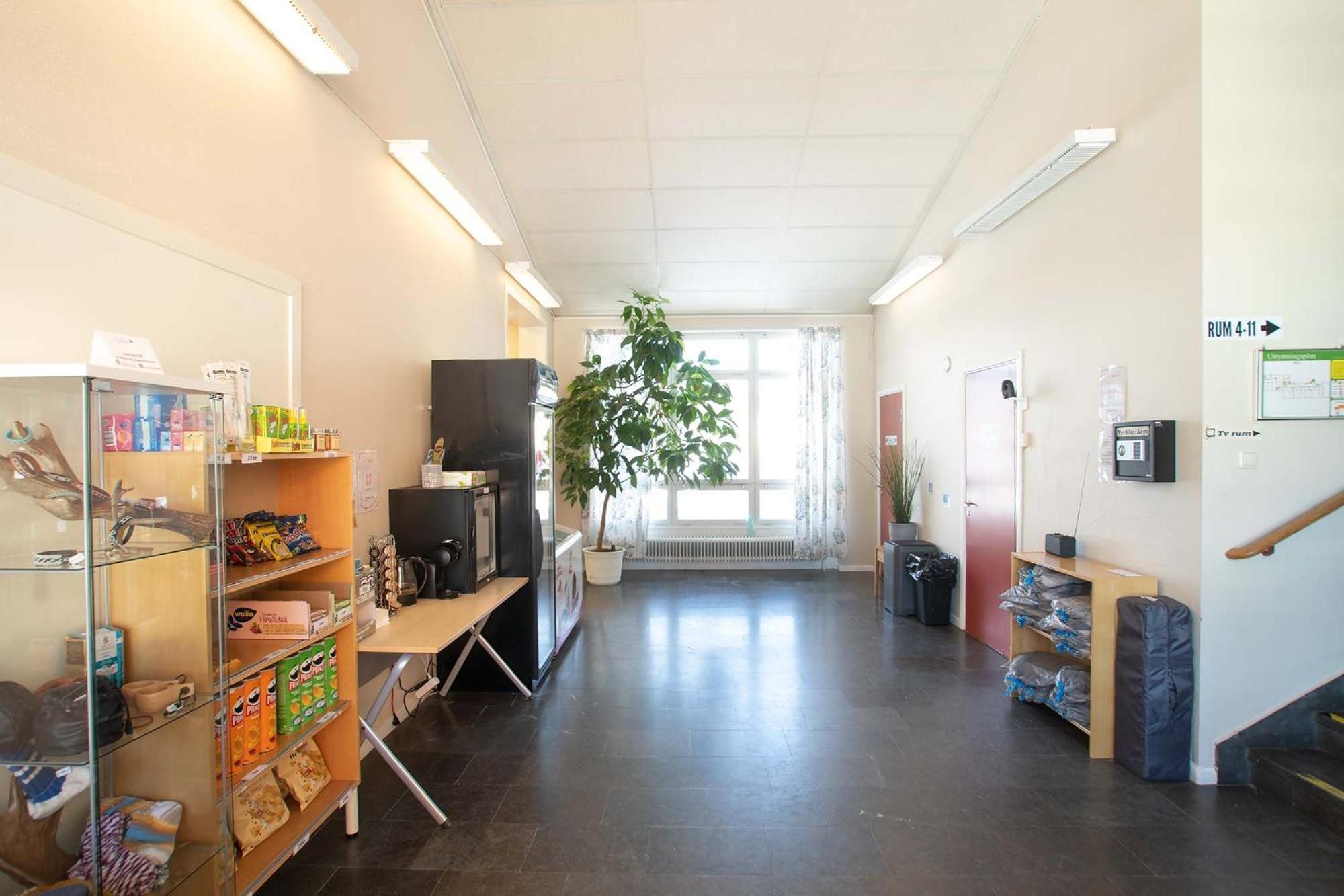 Dalasjoe Vandrarhem Vilhelmina Luaran gambar